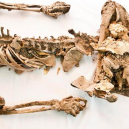 Starověké „solné mumie“: pohleďte do tváře horníkům z dávných dob lidské civilizace - snimek-obrazovky-2018-07-09-v-16-33-42
