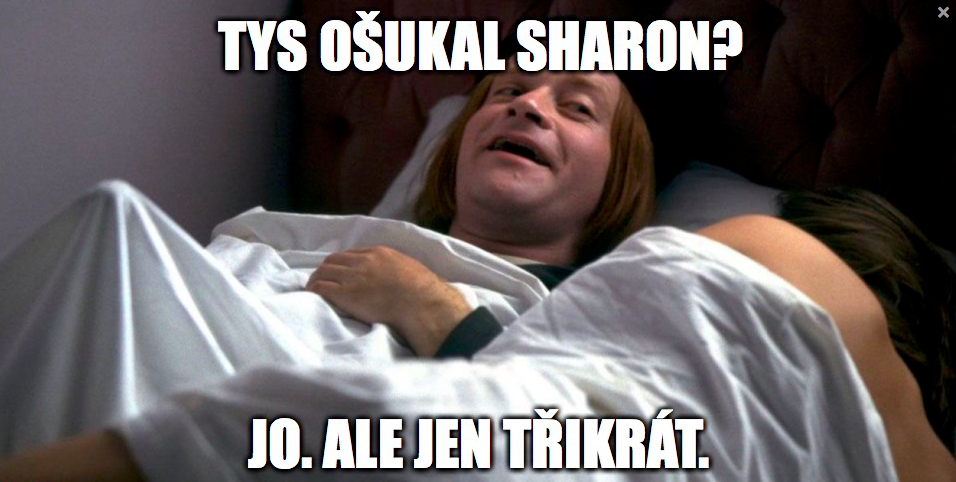 Obrázek #4 z 9